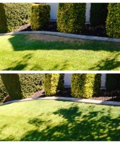 Lawnlift Ultra Concentrated (Green) Grass Paint 16oz. = 1.375 Gallons of Product. 36 61tA9HgH9ZL