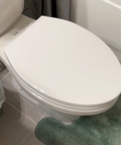 Delta Faucet Morgan Elongated Slow-Close White Toilet Seat with Non-Slip Seat Bumpers, White 811903-WH Slow Close 31 61tB7ZDT1BL