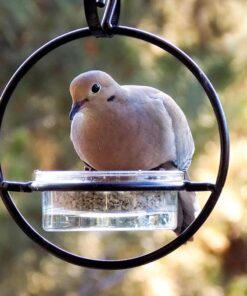 Mosaic Birds Hummble Basic Bird Feeder, M045-200, 3.4 Ounce Capacity, Clear, 1 Piece 41 61tFX97kKqL