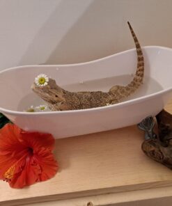 Sophia's Classic White Clawfoot Bathtub with Handheld Shower Head and Faucet Furniture Set for 18" Dolls, White/Silver 29 61tGCzJU82L