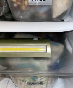 LIGHT IT! by Fulcrum, 20032-301 LED Path Light, Silver, Single Pack 39 61tJjlk9NDL