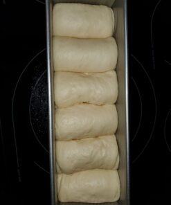 Brod & Taylor Folding Proofer & Slow Cooker (Proofer) 41 61tXqlU6rsL