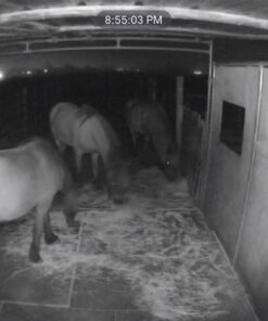 Google Nest Cam Outdoor 2-Pack - 1st Generation - Weatherproof Outdoor Camera - Surveillance Camera with Night Vision - Control with Your Phone 76 61tY4ga5htL