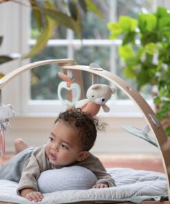 Ingenuity Cozy Spot Reversible Duvet Activity Gym & Play Mat with Wooden Bar - Loamy, Ages Newborn + 34 61taROJvX8L