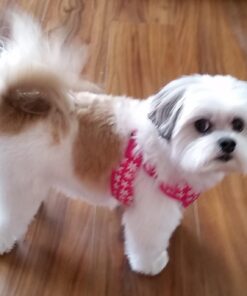 Milk-Bone MaroSnacks Dog Treats, Beef, 40 Ounce All Size Dogs 40 Ounce (Pack of 1) 42 61tbvMjgU7L