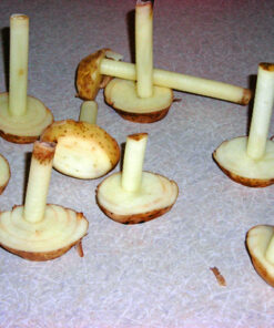 Paderno World Cuisine 3-Blade Vegetable Slicer / Spiralizer, Counter-Mounted and includes 3 Stainless Steel Blades White 68 61tdtRghXpL