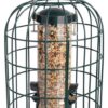 Esschert Design FB207 Squirrel Proof Feeder 31 61tmUgeNKxL