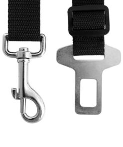 Portable Blender, Personal Blender for Shakes and Smoothies, 200W Small Blender USB Rechargeable/ 2X MORE POWERFUL Than Most Mini Travel Blender/Crushes ice,Fresh Juice Leegoal Blender Bravo(1st Gen) 10 61tmsVlf6L