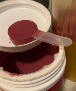 Organic Beet Root Powder - Ultra High Purity Super Food Beets Juice Powder. 100% Pure Nitric Oxide Boosting Beetroot Supplement. Keto, Paleo, Vegan Reds Superfood Rich in Polyphenols 49 61ttdAAUMkL