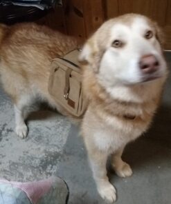 OneTigris Dog Pack Hound Travel Camping Hiking Backpack Saddle Bag Rucksack for Medium & Large Dog (Brown, Large) 11.4"L x 8.7"W x 2.4"H Brown 56 61tyVpr03EL