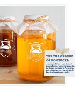 Jun Kombucha Starter Culture - USDA Certified Organic Jun SCOBY & Starter Tea - Makes 1 Gallon - Brewed with Organic Green Tea & Honey - Brew Jun Tea! 28 61tzzQgXaXL