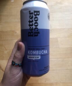 Better Booch Organic Kombucha - Probiotic & Antioxidant Rich Raw Sparkling Tea - Low Sugar, Vegan, Gluten Free - Gut Healing Active Cultures - Best Sellers Variety Pack, 16 Fl Oz Cans, 12-Pack 18 61uAfiKSRpL