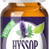 Healing Solutions 10ml Oils - Hyssop Essential Oil - 0.33 Fluid Ounces 0.34 Fl Oz (Pack of 1) 10 61uBZVAd0ML
