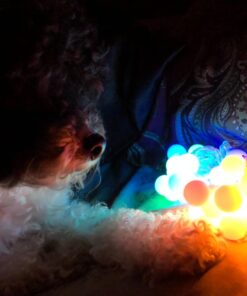 ALOVECO LED String Lights 18ft 50 LED Battery Operated Christmas Lights with Remote 8 Modes Waterproof Globe Starry Fairy Lights for Outdoor Indoor Bedroom Garden Xmas Party(Multicolor) Multicolor (Red, Blue, Green, Yellow) 36 61uERSji3GL