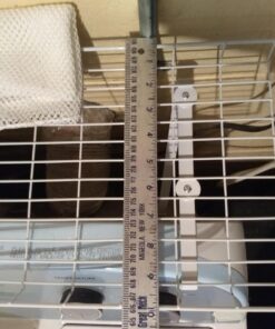 Household Essentials 05100 Rear Display Over-The-Washer Storage Shelf | Organize and Store Laundry Room Supplies | White 52 61uFqJ4zKVL