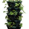 Mr. Stacky 1305-HG 5-Tier Stackable Strawberry, Herb, Flower, & Vegetable Planter - Vertical Gardening Indoor / Outdoor Stacking Garden Pots Hunter Green, 22.5 Quarts 52 61ue9T4KMGL