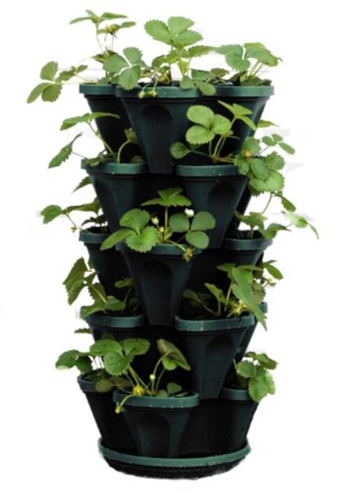 Mr. Stacky 1305-HG 5-Tier Stackable Strawberry, Herb, Flower, & Vegetable Planter - Vertical Gardening Indoor / Outdoor Stacking Garden Pots Hunter Green, 22.5 Quarts