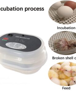 iTavah Egg Incubator, Chicken Incubators for Hatching Eggs with Automatic Egg Turning and Temperature Control, 9-12 Eggs Poultry Hatcher for Chicken Duck Bird 24 61ujAy7QemL