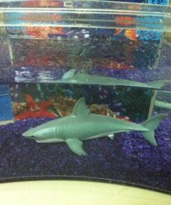 Papo - hand-painted - figurine - Marine Life - White Shark Figure-56002 - Collectible - For Children - Suitable for Boys and Girls - From 3 years old 1 Multicolor 22 61uwKUzdOmL