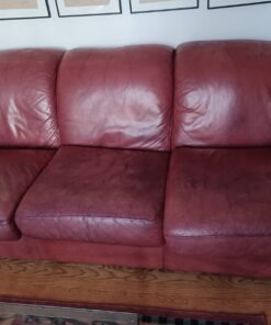 Furniture Clinic Leather Complete Restoration Kit | Includes Leather Recoloring Balm, Leather Cleaner, Protection Cream, Sponge & Cloth | Restores & Repairs (Bordeaux) Complete Kit Bordeaux 22 61v2JZ6mk4L