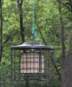 More Birds Squirrel-X Double Suet Feeder, Outdoor Wild Bird Feeder, Cage Bird Feeder, 2 Suet Cake Capacity 25 61v9REAWlL