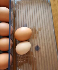 iDesign Plastic Egg Holder for Refrigerator with Handle and Lid, Fridge Storage Organizer for Kitchen, Set of 1, Clear 44 61vK6tYLIQL