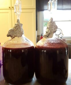 Red Star Red Star Premier Blanc Champagne Yeast (Pack of 10) 14 61vM9Do139L