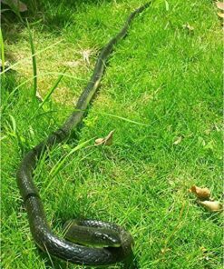 Yoogeer 47 Inches Rubber Lifelike Snakes Scary Gag Gift Incredible Creatures Chain Snakes Rain Forest Snake Toys Wild Life Snakes 11 61vNdlxLMUL