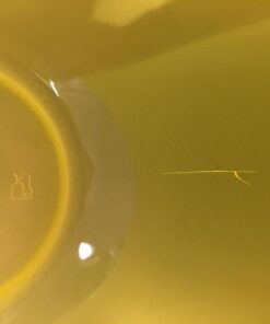 6 Pc Fun Multi-Colored BPA-Free Bowls - Cereal Fruit or Soup Bowl 14 61vV8dfH3GL