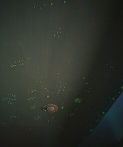 Realistic 3D Domed Glow in The Dark Stars,606 Dots for Starry Sky, Perfect for Kids Bedding Room Gift(606 Stars) (1*Green) 1*Green 45 61vbD678b1L