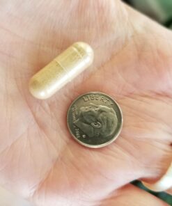 Vitamin Bounty Women's Pro Daily - Vaginal Probiotic & Prebiotic & pH Balance, Probiotics for Women Vaginigal Health, 10 Billion CFUs Per Serving with Cranberry, Gluten-Free - 60 Capsules 60 Count (Pack of 1) 52 61vcIRivScL 2