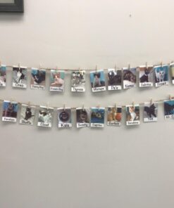 HP Sprocket Portable Color Photo Printer, Print Social Media Photos on 2x3" Sticky-Backed Paper - Black (X7N08A) 68 61vdR6MGkCL