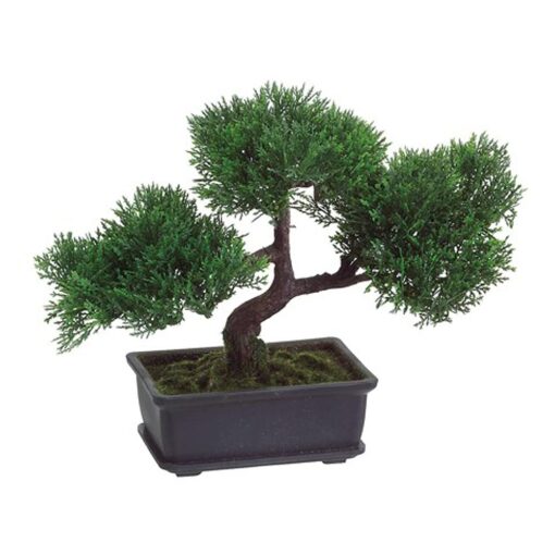 Artificial Japanese Cedar Bonsai Tree 9 inch Tall