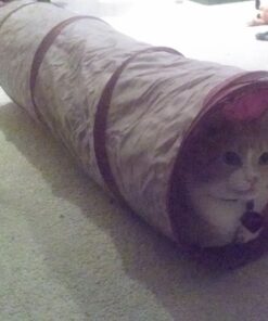 SmartyKat Crackle Chute Crinkle Activity Tunnel Cat Toy - Tan/Red, One Size Set of 1 Crackle Chute Tunnel 32 61vit9X350L