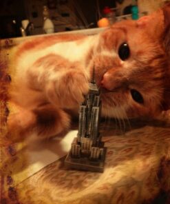 Fascinations Metal Earth Empire State Building 3D Metal Model Kit 27 61vkNmZC9 L