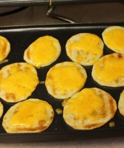 Breville Duo 1500-Watt Nonstick Panini Press, Silver 37 61wCOkjX3mL