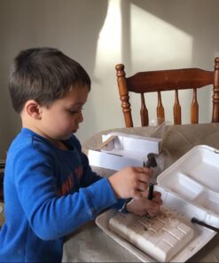 Dig & Discover Dino Stegosaurus Dinosaur Skeleton 3D Fossil Bones Excavation, Science Educational Toy Kit for Kids, Children 17 61wEMQlt1nL