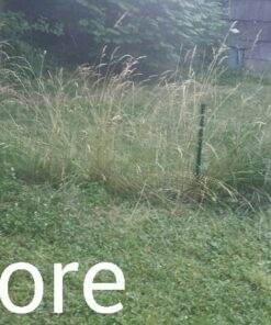 Fiskars Long-Handled Grass Shears - 36" Handle with 360-Degree Swivel Blade - Garden Shears and Grass Cutter - Black 36" Long-Handled Grass Shears 17 61wExLUwH L