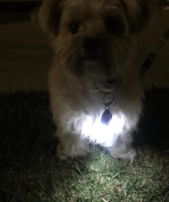 Small Dog Light - Dog Collar Light - Bubbas Leash Light - 2 Per Pack - Dog Walks & Backyard Monitoring. Attaches to Leash, Dog Collar, Harness. Small & Large Dogs. (Stealth Black) Bubba's Leash Light 38 61wc52RsnlL