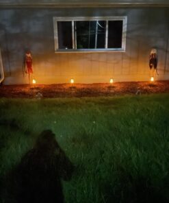 TomCare Solar Lights Upgraded, 43" Waterproof Flickering Flames 96 LED Torches Lights Outdoor Solar Landscape Decoration Lighting Auto On/Off Pathway Lights for Garden Patio Yard Christmas, Black(4) Black-style 1 31 61wqLP1wU4L