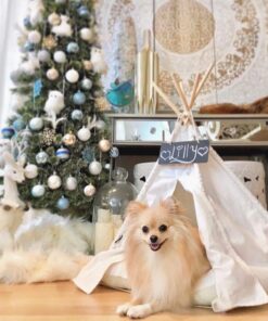 little dove Pet Teepee Dog & Puppy Cat Bed, Portable & Washable Pet Tents, House for Pets Beige Color 24 Inch no Cushion 24 61wwEv4wRrL