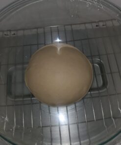 Brod & Taylor Folding Proofer & Slow Cooker (Proofer) 42 61wxuxm1JJL