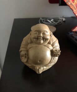 Top Collection Mini Happy Buddha Laughing Statue - Hand Painted Essence of Joy Big Belly Buddha in Sandstone Finish - 3.25Inch Collectible East Asian New Age Lucky Buddha Figurine 21 61wzb2k9SnL