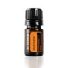 DoTerra - Motivate Essential Oil Encouraging Blend, Peppermint, Clementine, Coriander 5 mL Peppermint, Clementine, Coriander blend 0.17 Fl Oz (Pack of 1)