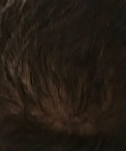 Hair Growth Conditioner - Hair Loss Conditioner For Thinning Hair - Sulfate Free Prevention Formula Against Hair Loss, Alopecia & Receding Hairline with Argan Oil - by Amplixin 30 61x4QscgGQL