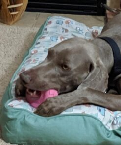 KONG Puppy Tires - Durable Puppy Chew Toy - Soft Rubber Treat Toys for Puppies & Dogs - Stuffable Dog Chew Toy - Puppy Teething Toy for Fetch & Mental Enrichment - Tire Chew Toy - Medium/Large Puppies 47 61x9utyaXZL 2