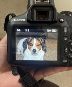 Canon EOS Rebel T7 DSLR Camera with 18-55mm Lens | Built-in Wi-Fi | 24.1 MP CMOS Sensor | DIGIC 4+ Image Processor and Full HD Videos 52 61xBKbdfEL