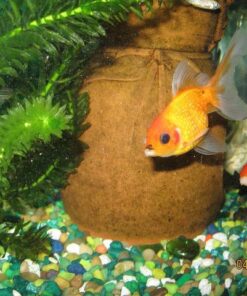 Tetra Goldfish Flakes, Nutritionally Balanced Diet For Aquarium Fish, Vitamin C Enriched Flakes, 4.52 lbs oz 39 61xG4l5MFZL