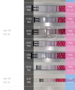 Premama Balance Powder Packets, Multivitamin Supplement, Healthy Hormone Balance Support for Women, Sugar-Free, Gluten-Free, Vegan, Berry Flavor, 28 Single Serve Packets 28 61xHOtjHV6L