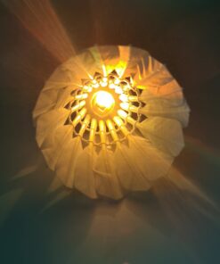 Inngree LED Badminton Birdies, LED Colourful Shuttlecock Dark Night Goose Feather Glow Birdies Lighting Outdoor Indoor Sport Activities 6 Colourful-6pcs 20 61xSOhXvK5L